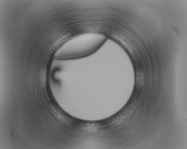 X0000115450493200912161517