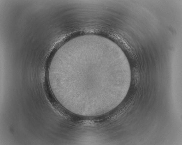 X0000115450496200912161517