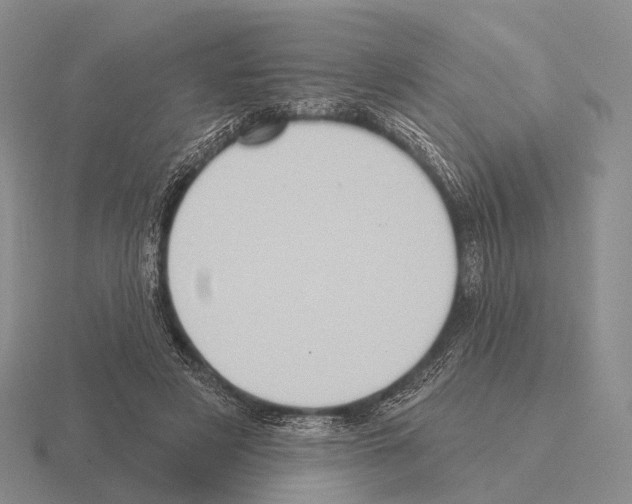 X0000115450497200912161517