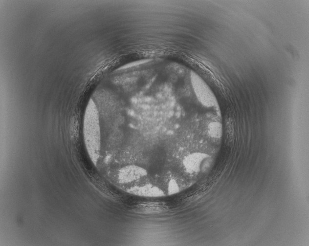 X0000115450499200912161517