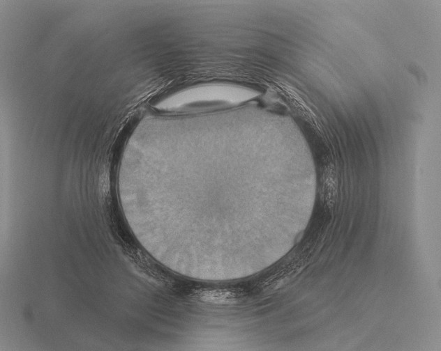 X0000115450500200912161517