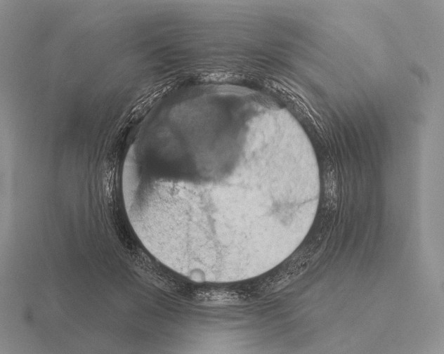 X0000115450503200912161517