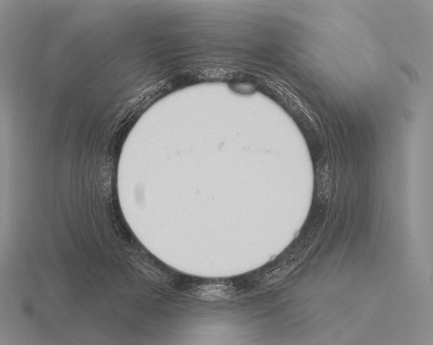 X0000115450505200912161517