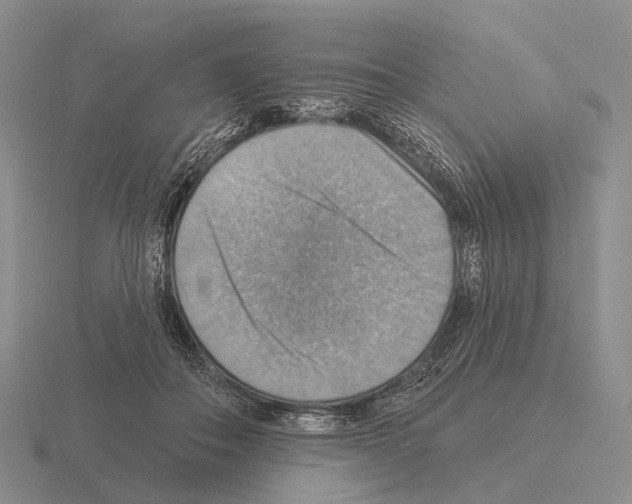 X0000115450506200912161517