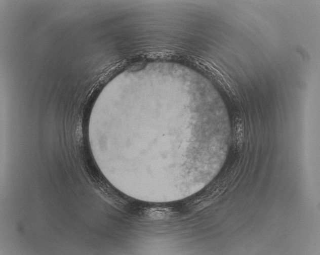 X0000115450508200912161517