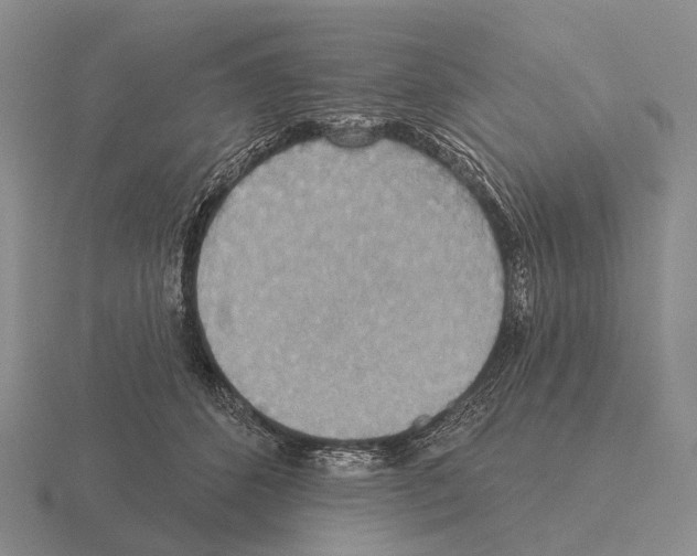 X0000115450512200912161517