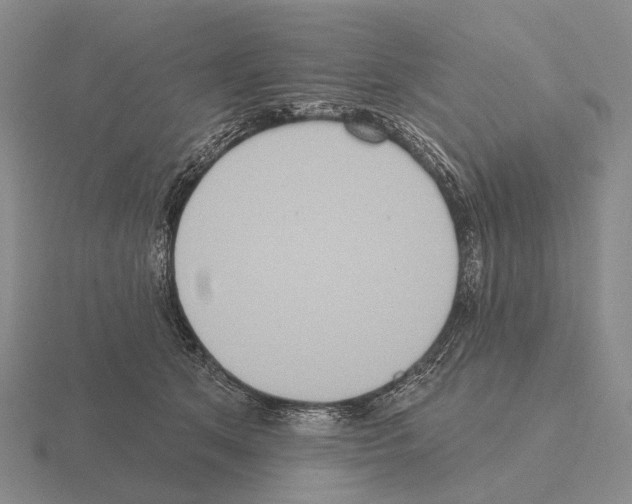 X0000115450513200912161517