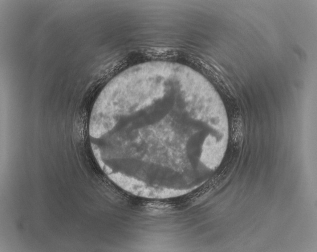 X0000115450515200912161517