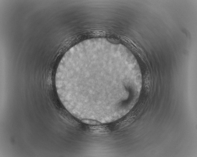 X0000115450516200912161517