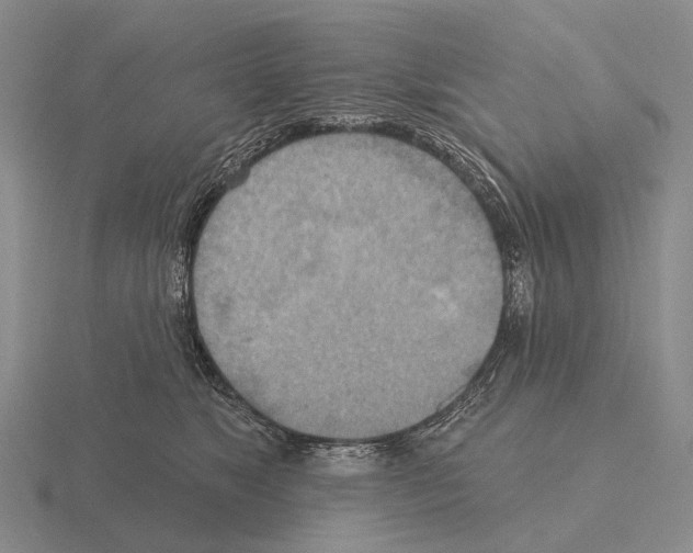 X0000115450517200912161517