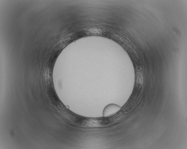 X0000115450518200912161517