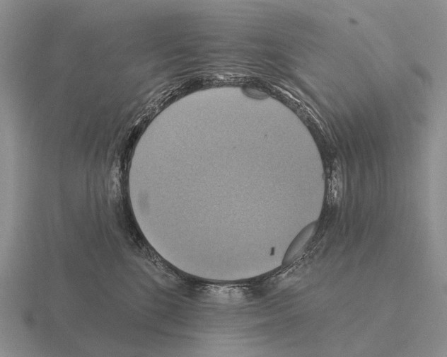 X0000115450520200912161517