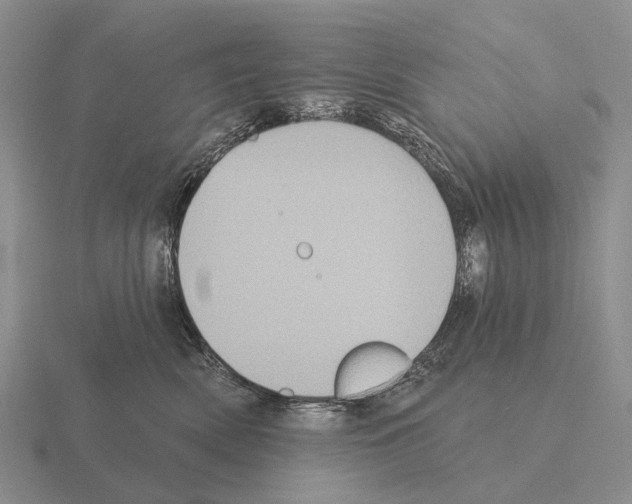 X0000115450522200912161517