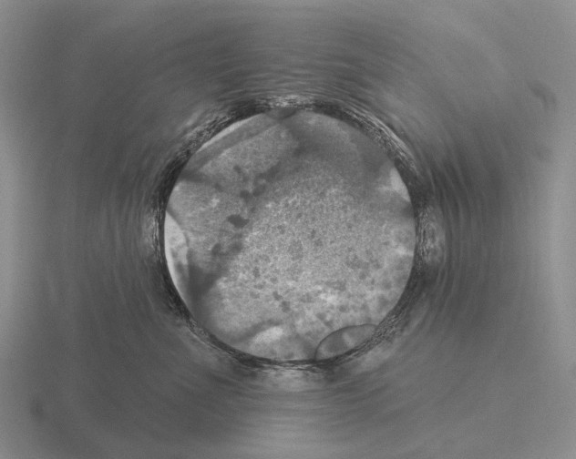 X0000115450523200912161517