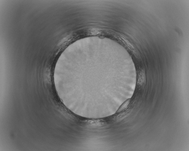 X0000115450524200912161517