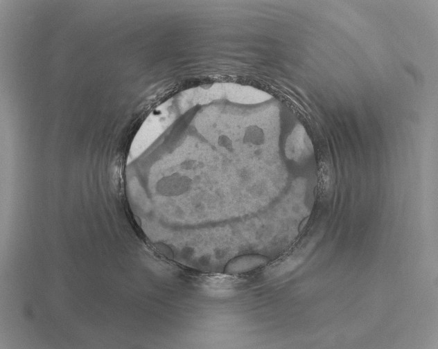 X0000115450527200912161517