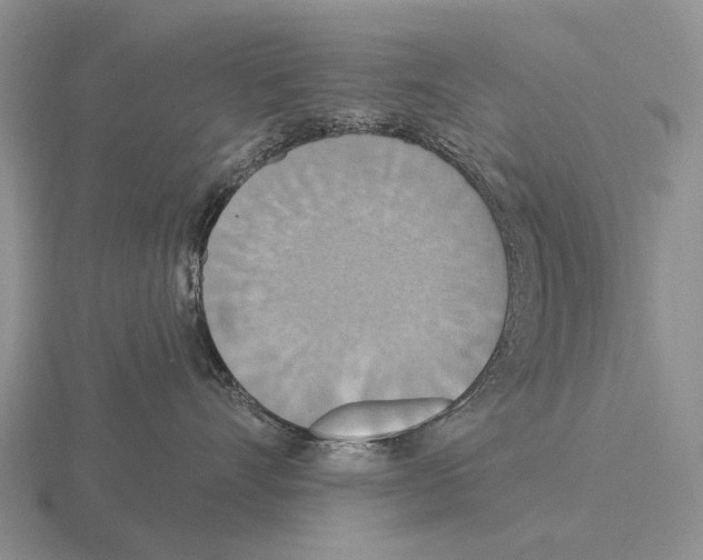 X0000115450528200912161517