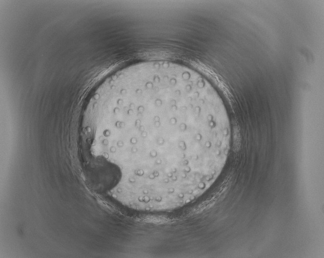 X0000115450529200912161516