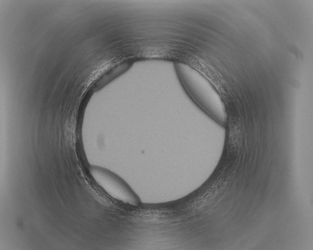 X0000115450530200912161516