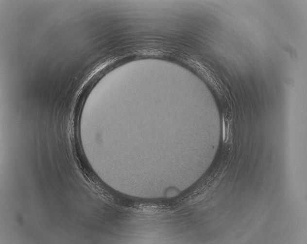 X0000115450531200912161516