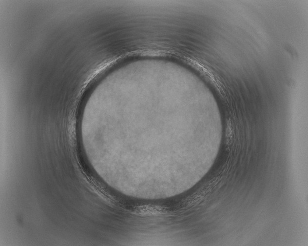 X0000115450535200912161516