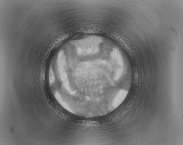 X0000115450539200912161516