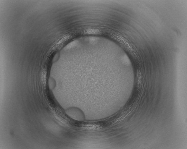 X0000115450542200912161516