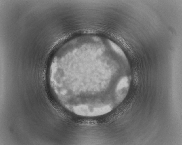 X0000115450543200912161516