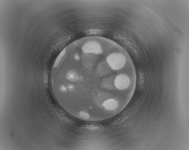 X0000115450545200912161516