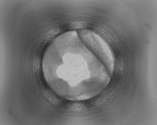 X0000115450546200912161516