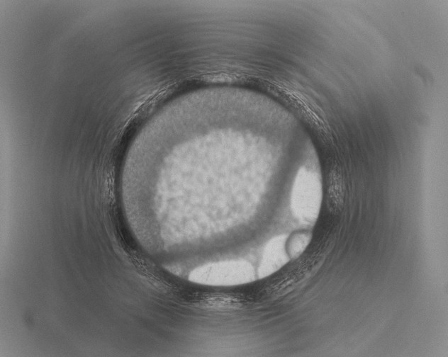 X0000115450547200912161516