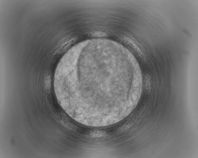 X0000115450549200912161516