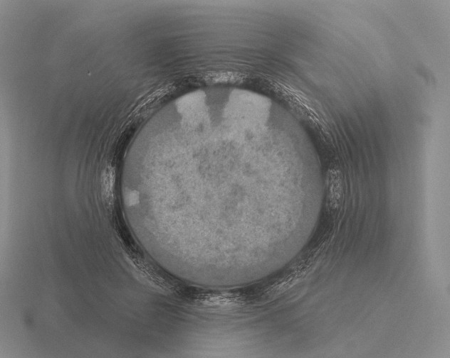 X0000115450550200912161516