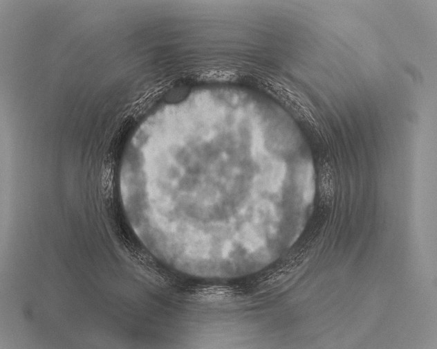 X0000115450551200912161516