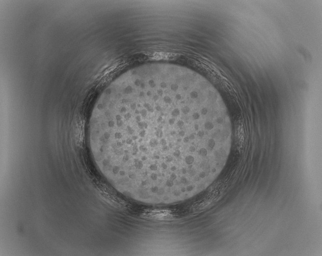 X0000115450554200912161516