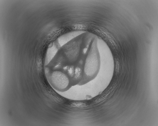 X0000115450557200912161516