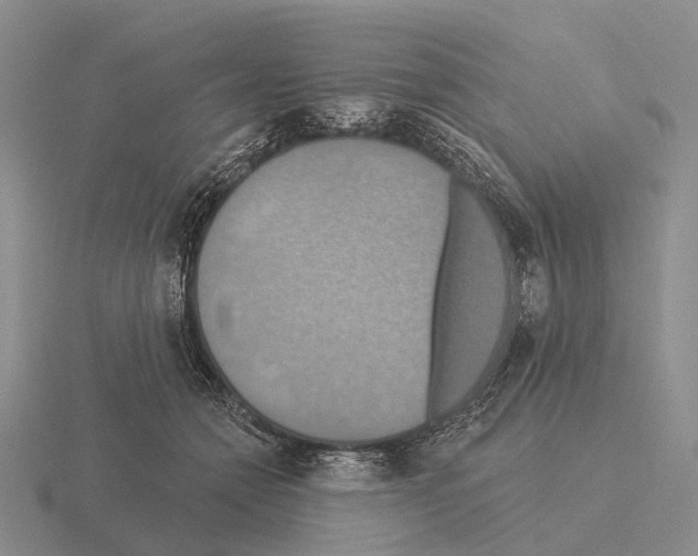 X0000115450558200912161516