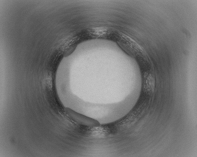 X0000115450562200912161516