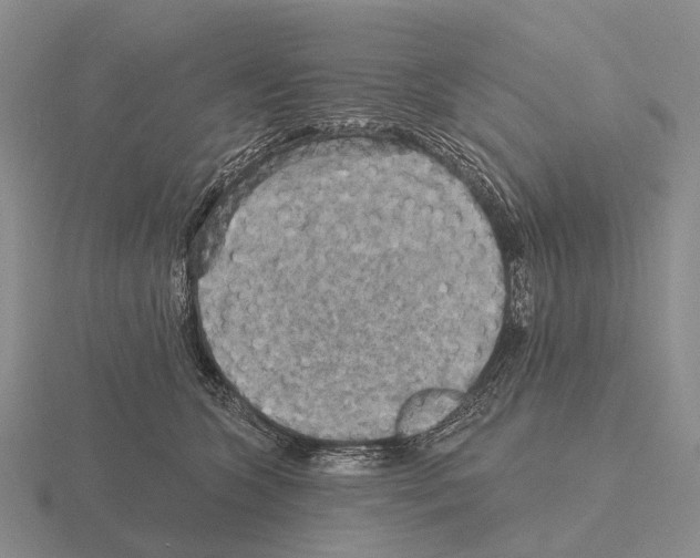 X0000115450563200912161516