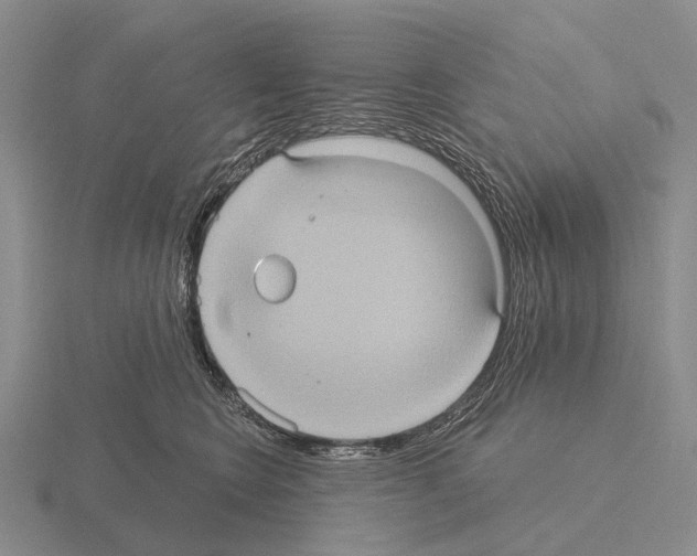 X0000115450566200912161516