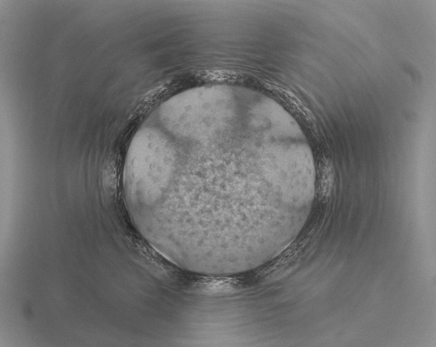 X0000115450569200912161516