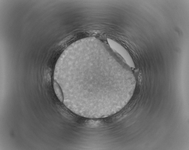 X0000115450570200912161516