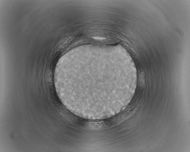 X0000115450571200912161516