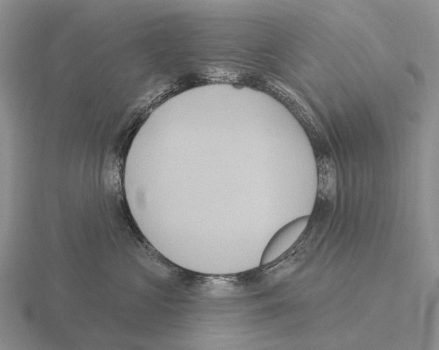 X0000115450573200912161516