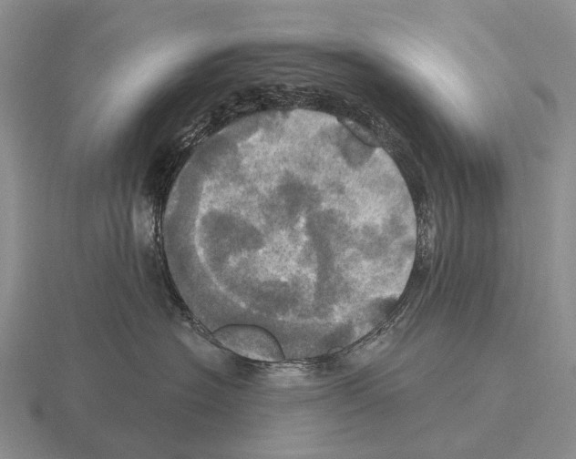 X0000115450574200912161516