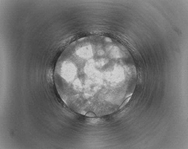 X0000115450575200912161517