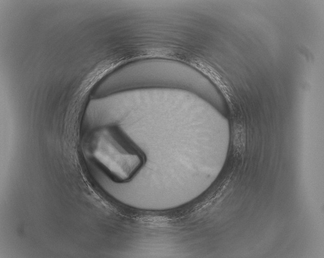 X0000115450577200912161516