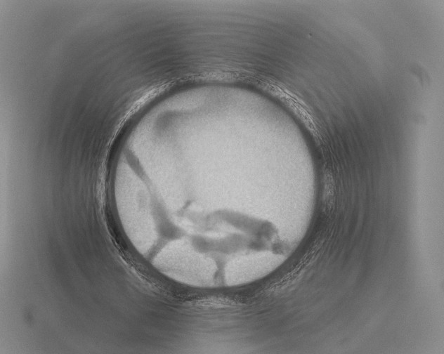 X0000115450578200912161516