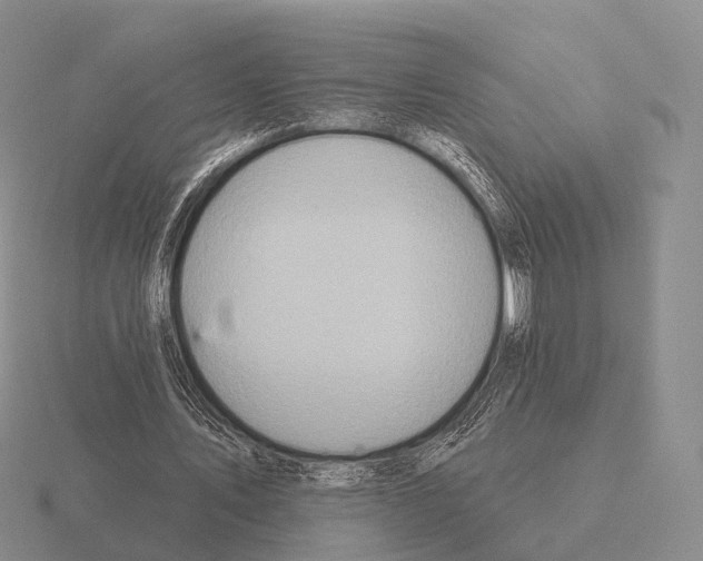 X0000115450579200912161516