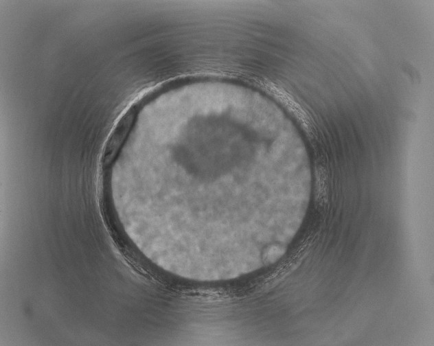 X0000115450580200912161516